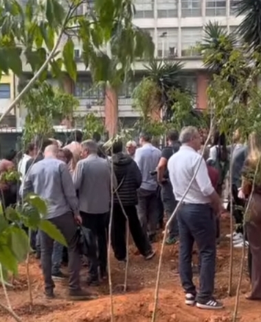 Centro de São Paulo recebe quatro novos bosques urbanos
